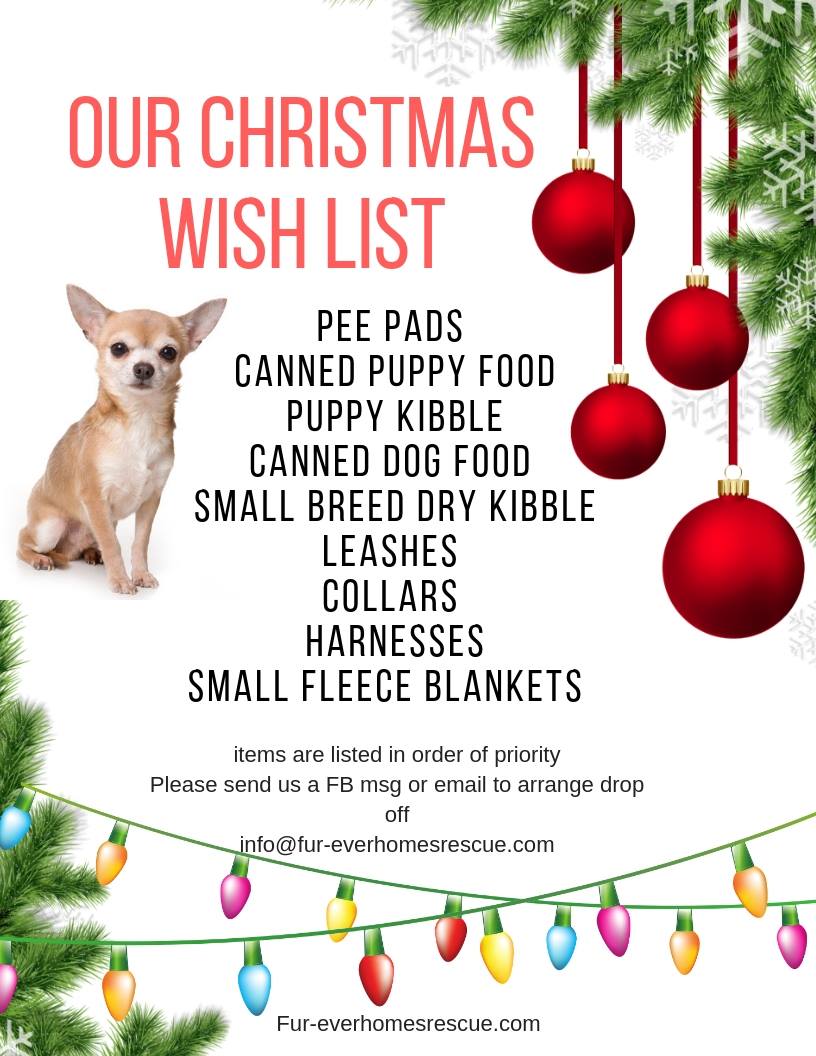 星空·综合体育