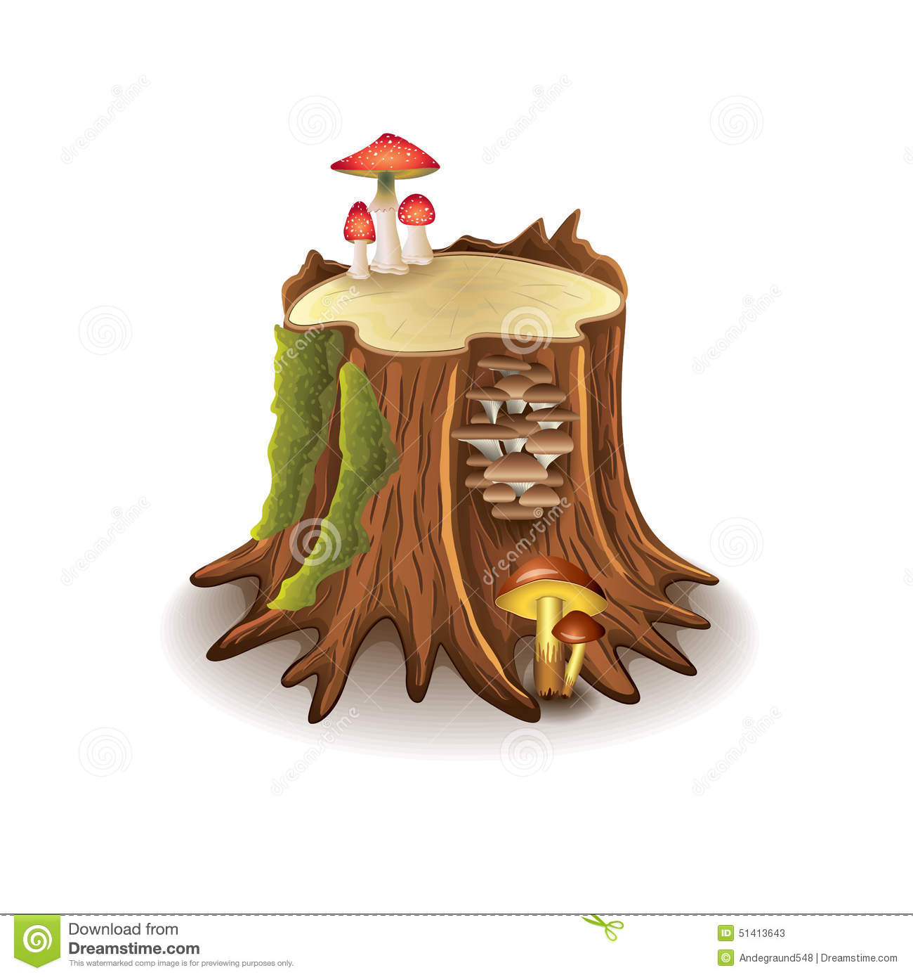 星空·综合体育