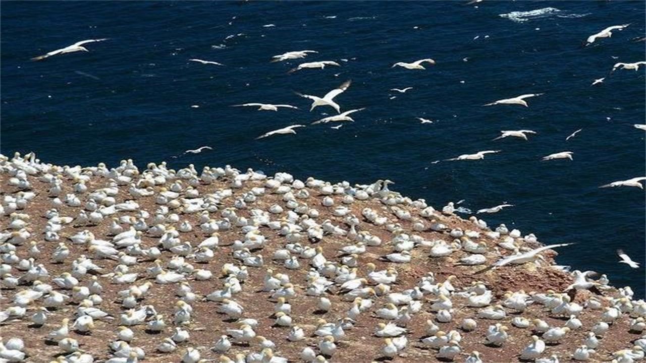 星空·综合体育