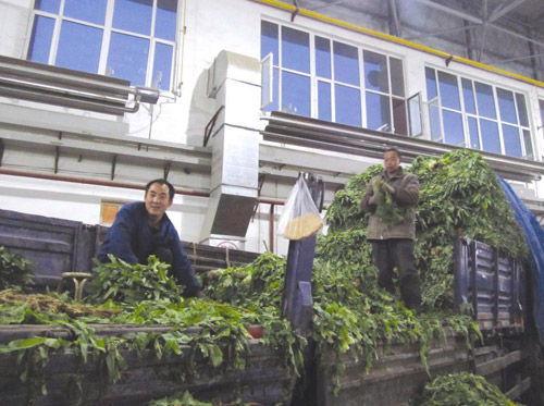 建筑防腐材料在化工工程设计的应用|星空综合(图3) 星空·综合体育