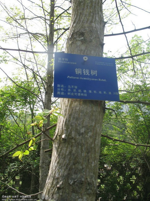 星空综合:塑料机械销售转旺薄壁多色注塑仍居主流(图1) 星空综合