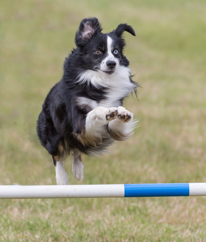 全国首套乙炔干燥装置投运“星空综合”(图1) 星空·综合体育