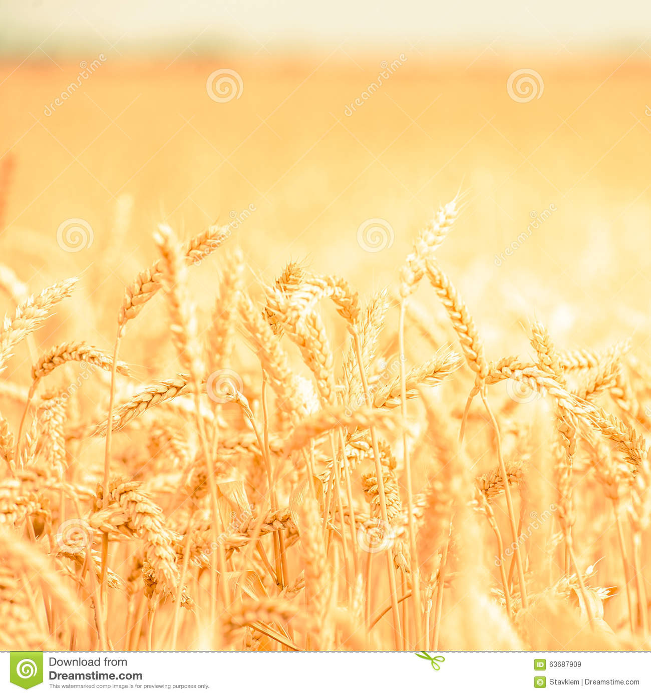 星空·综合体育