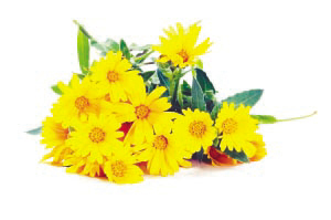 星空·综合体育