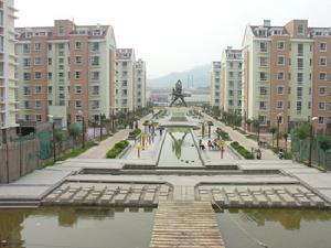 德帅爆料:恩尼斯在新赛季表现突出 让人刮目相看“星空综合”(图1) 星空综合