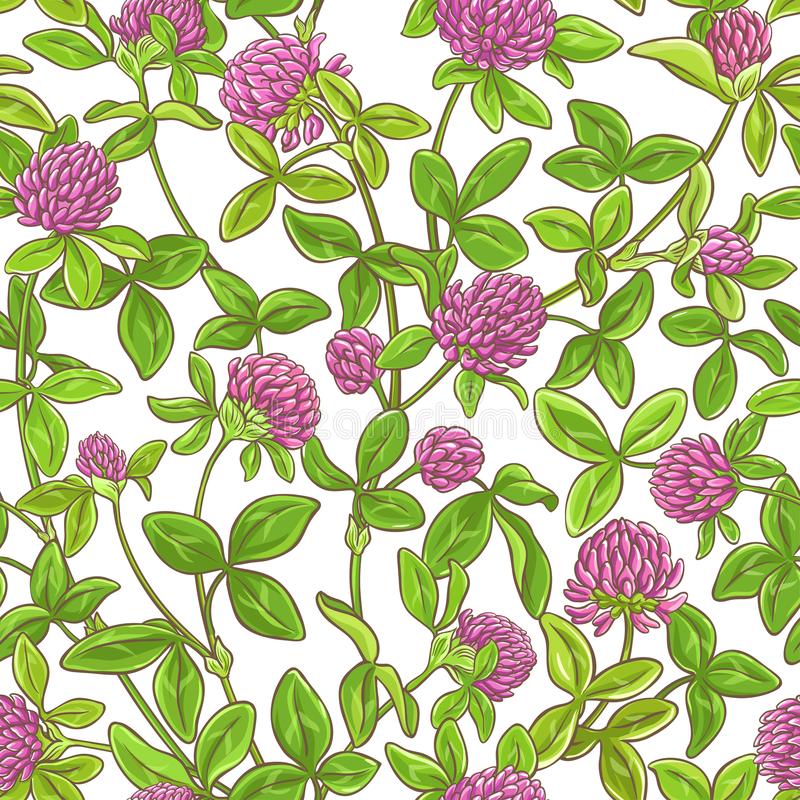 星空·综合体育