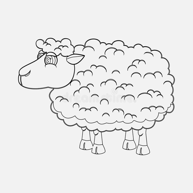 星空·综合体育