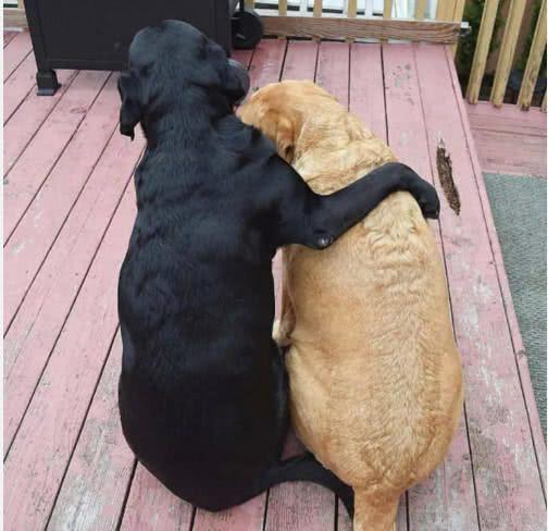 青岛腾远设计事务所有限公司与山东建筑大学共建研究生联合培养基地|星空综合(图1) 星空综合