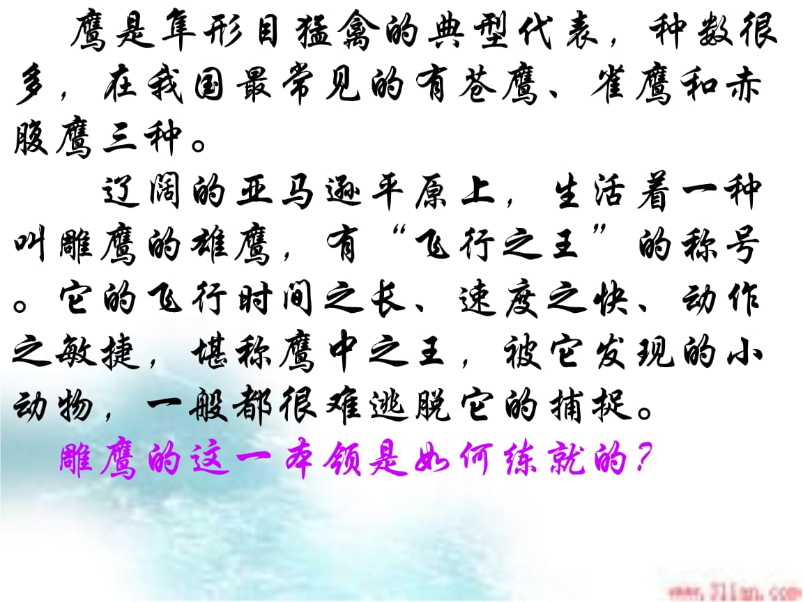 星空·综合体育