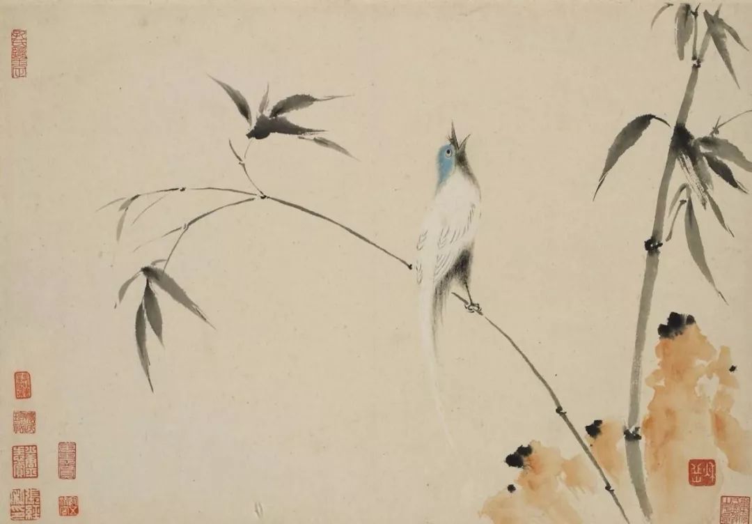 星空·综合体育