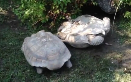 星空·综合体育