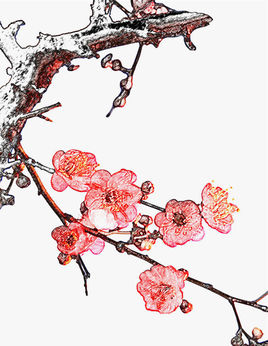 星空·综合体育