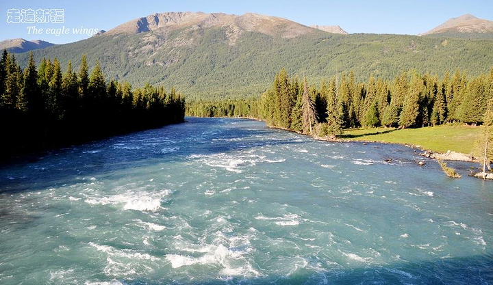 星空·综合体育