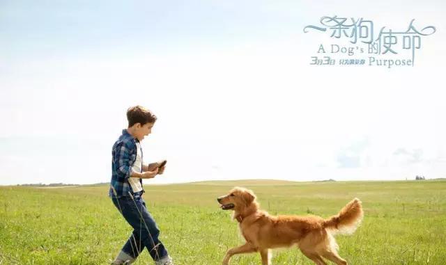 星空·综合体育