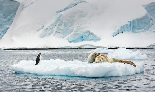 星空·综合体育