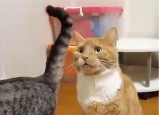 星空·综合体育