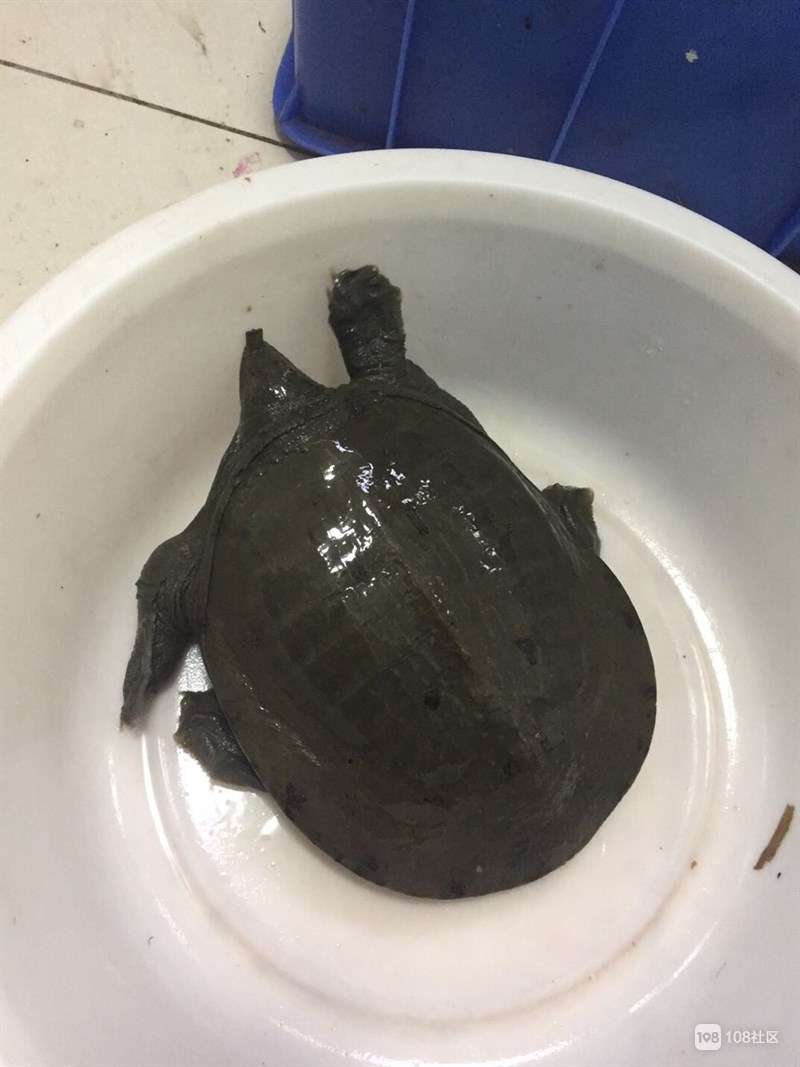 星空·综合体育