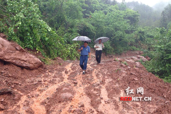 星空·综合体育