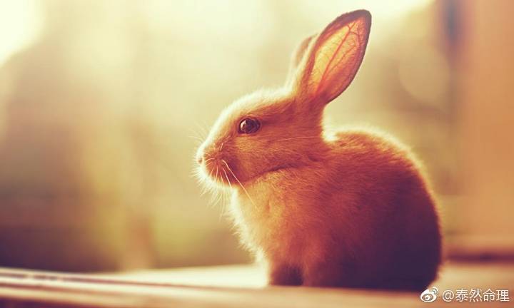 星空·综合体育