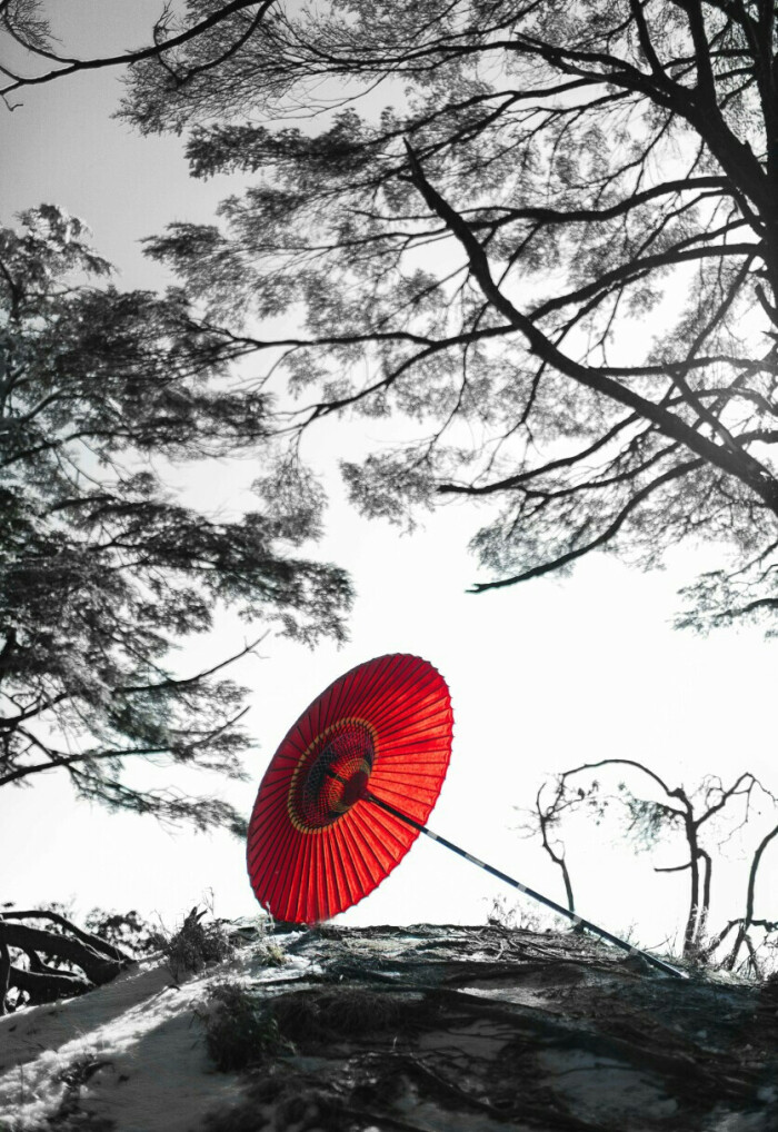 星空·综合体育